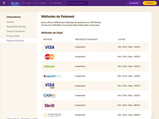 WildSultan cashier screenshot
